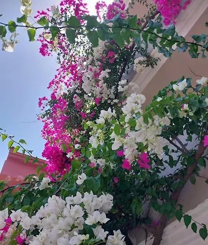 Selenya Hotel apartamentowy