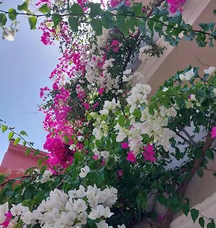 Selenya Hotel de apartamente